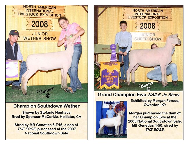 2008 NAILE Ch Wether & Ewe